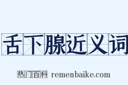 舌下腺近义词是什么意思的图片
